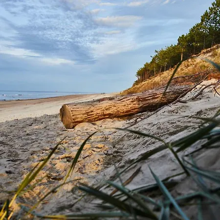 Pod Sosnami アパート ポゴジェリツァ