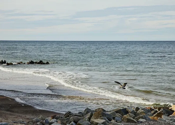 Apartment Pod Sosnami Pogorzelica (Gmina Rewal)